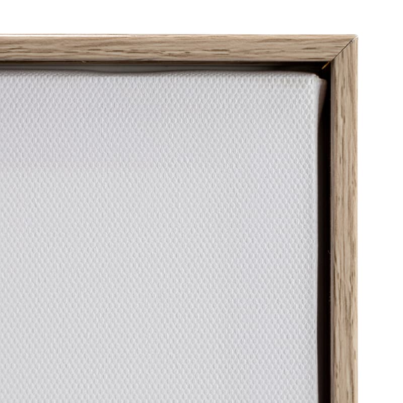 Canvas Framed Wall Décor with Alphabet and Corresponding Images