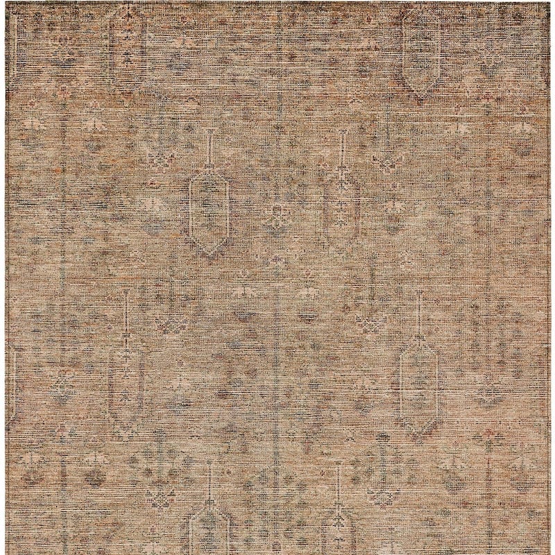 HomeRoots Southwestern Transitional Rectangle Outdoor Rug
