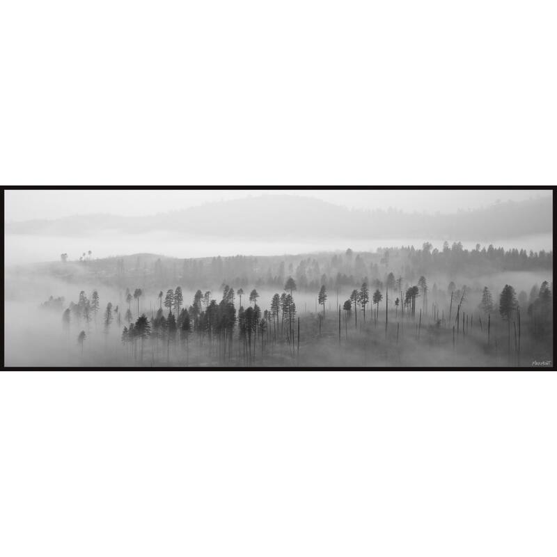 Lost in the Woods Floater Framed Print on Canvas