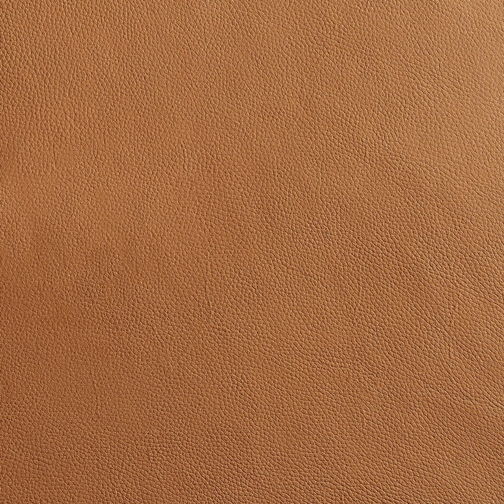 Art Leon Mid-centuery Modern Genuine Leather Chair