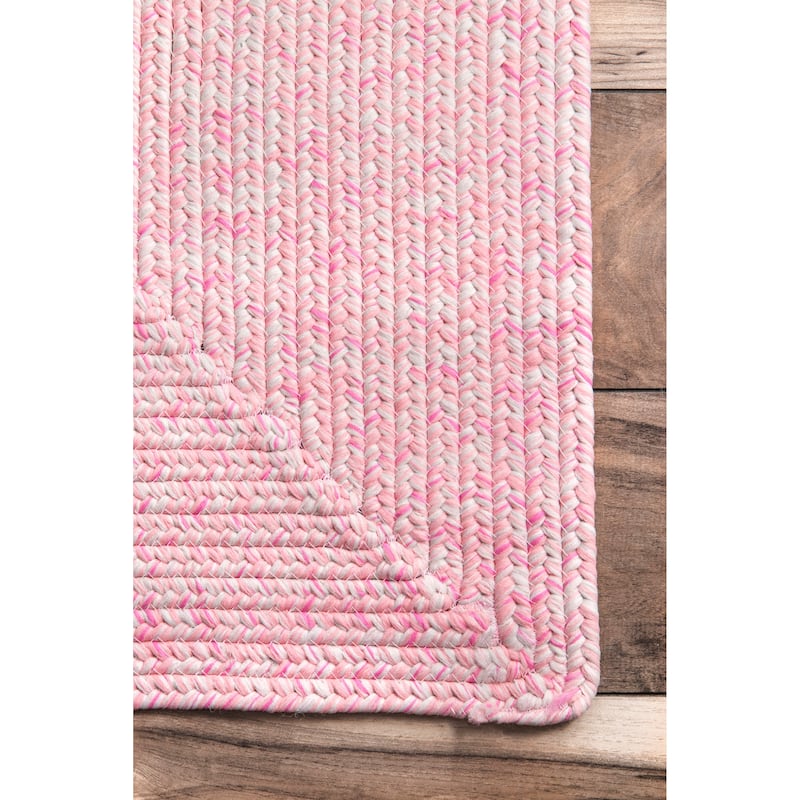 Nuloom Wynn Braided Indoor/Outdoor Area Rug