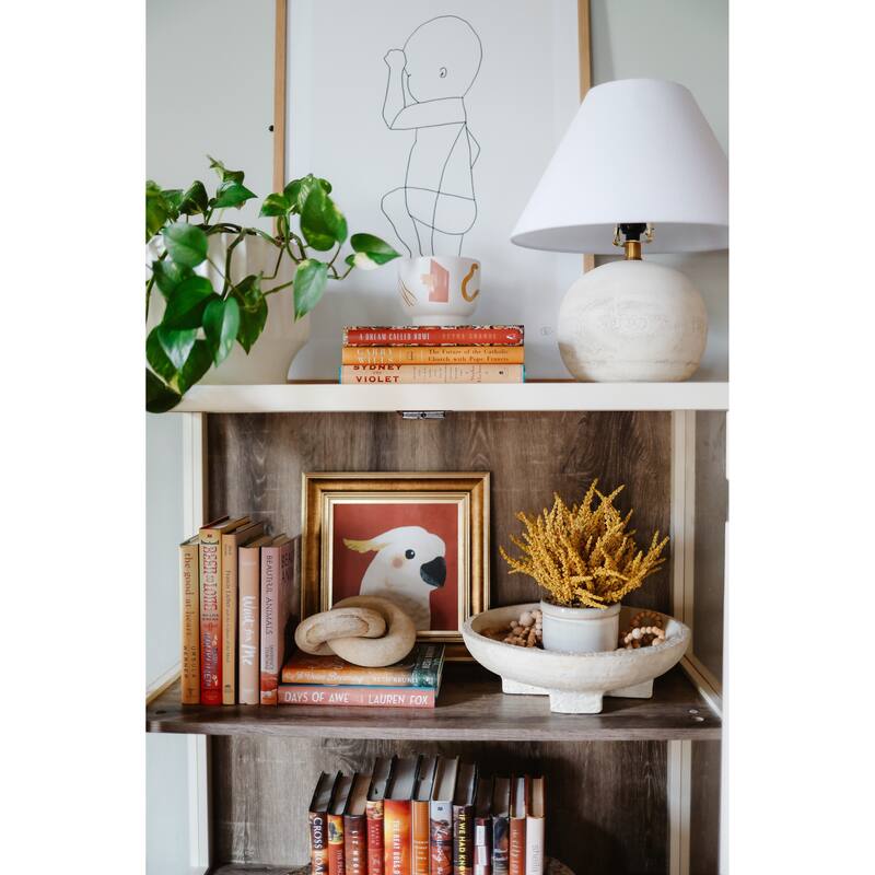 Books Orange Decorative Accessories: Apricot Dust Jacket ColorPak