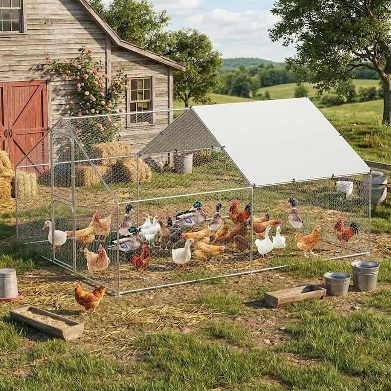 Metal Chicken Coop Walk in Chicken Run with Door for Outdoor Farm Yard - 9.8' W x 13.1' L x 6.6' H