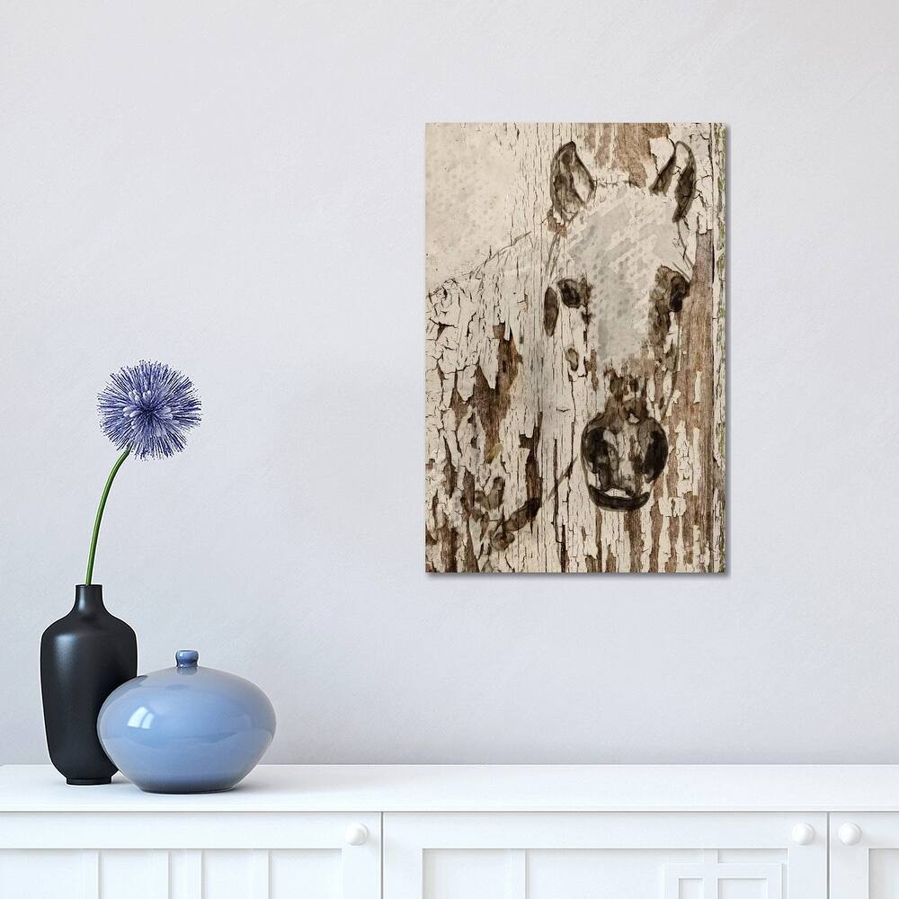 iCanvas "Champagne Horse" by Irena Orlov Canvas Print