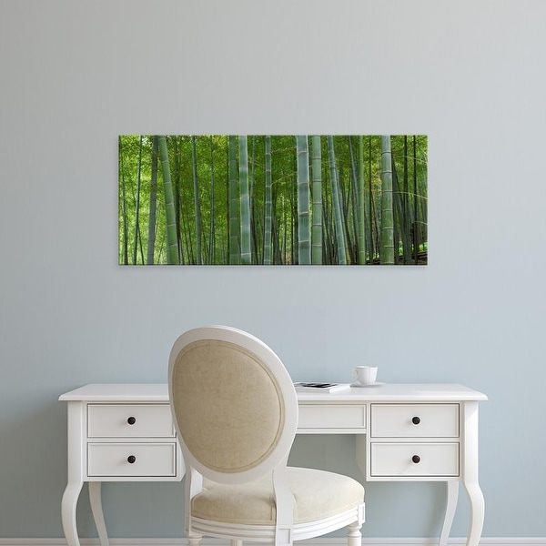 Easy Art Prints Panoramic Images's 'Bamboo trees in a forest, Fukuoka, Fukuoka Prefecture, Kyushu, Japan' Canvas Art