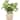 Reticulated Artificial Spring Foliage in Ceramic Pot - 8"