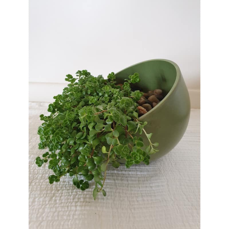 7" Sage Green Orbital Bamboo Planter