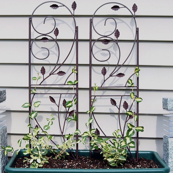 Pack of 2 x Vintage Style Wall Trellis Climbing Plant Support Pot Trellises