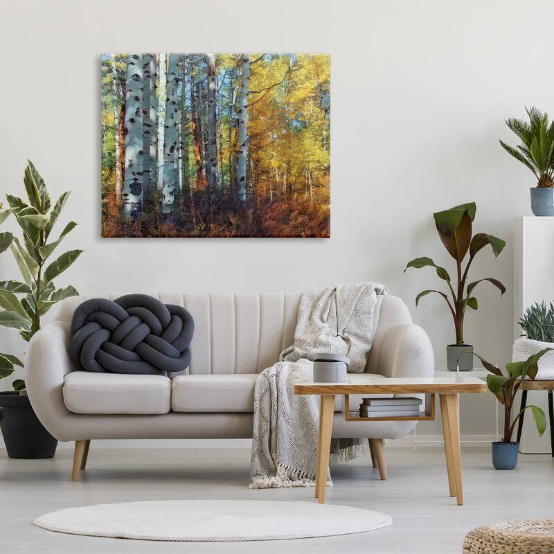 Stupell Cluster of Birch Trees in Yellow Autumn Forest Canvas Wall Art - Multi-Color