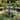 51.51in Vintage Carved 3 Tier Fountain Classic European Outdoor Water Feature with Dual Tier Light Rings ETL Certified Pump