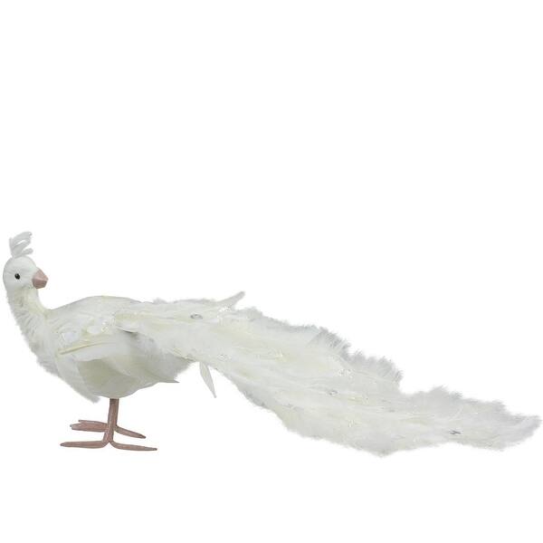 Shop 39 5 Winter S Beauty White Peacock Bird With Closed Tail