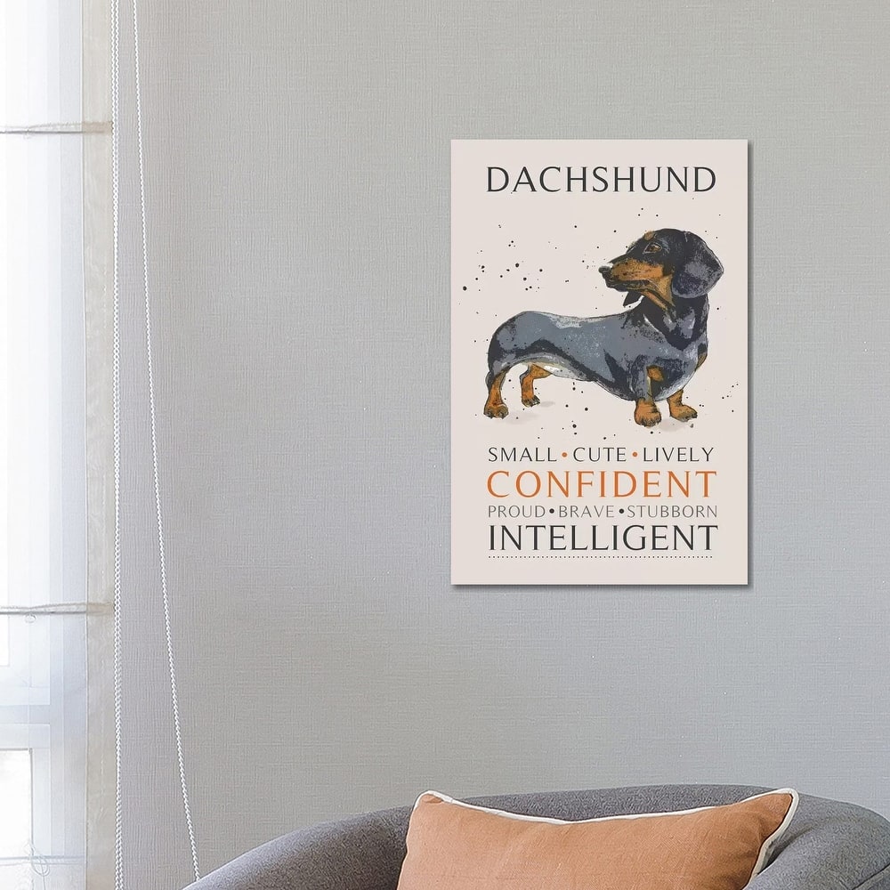 iCanvas "Dachshund" by Michelle Campbell Canvas Print