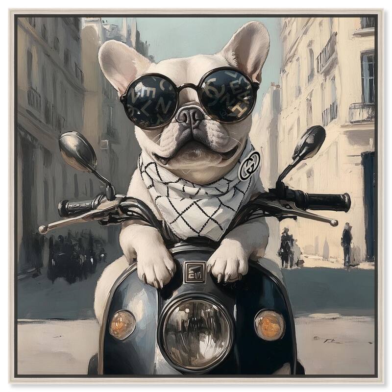 Frenchie on a Scooter Drive Canvas by Art Remedy - Silver - 40" x 40"