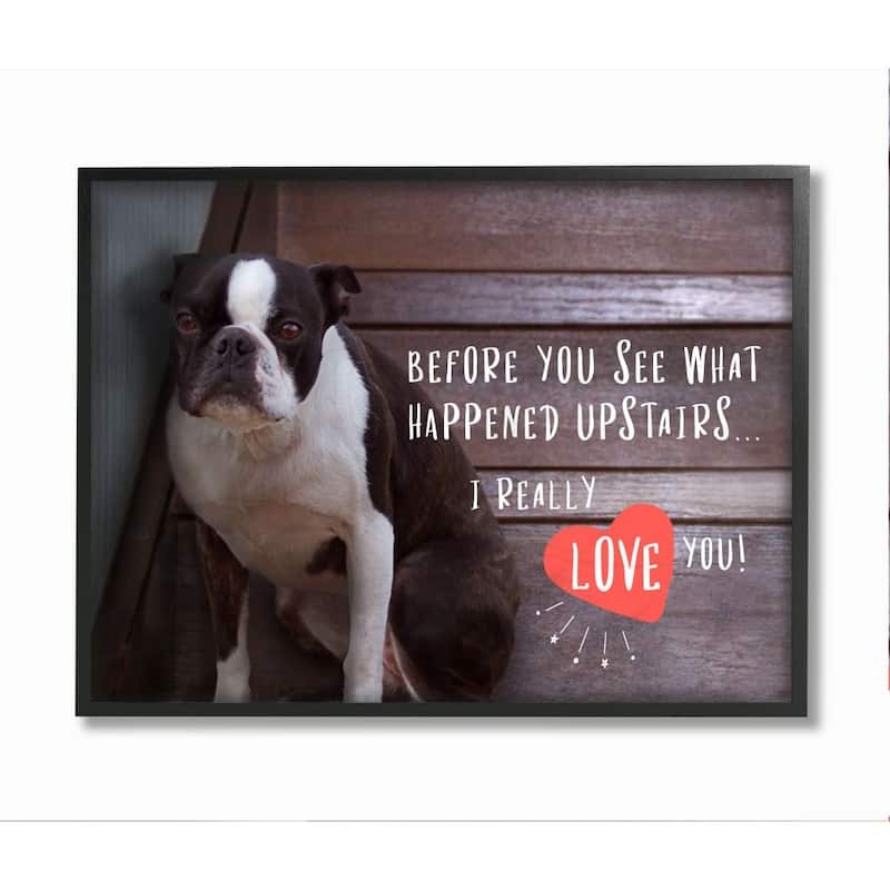 Stupell Bad Dog Apology Family Pet Humor Boston Terrier Framed Wall Art ...