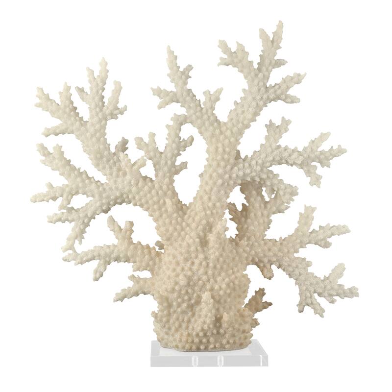 Cream Polystone Coral Sculpture with Clear Acrylic Base