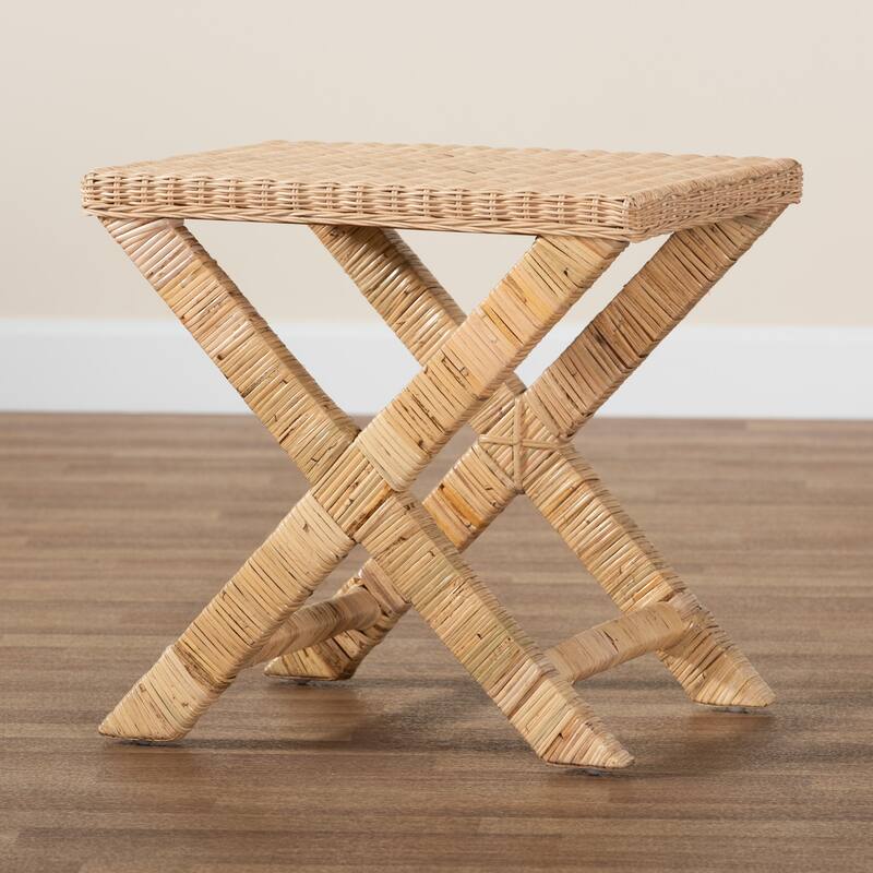 Farica Modern Bohemian Natural Rattan And Mahogany Accent Bench