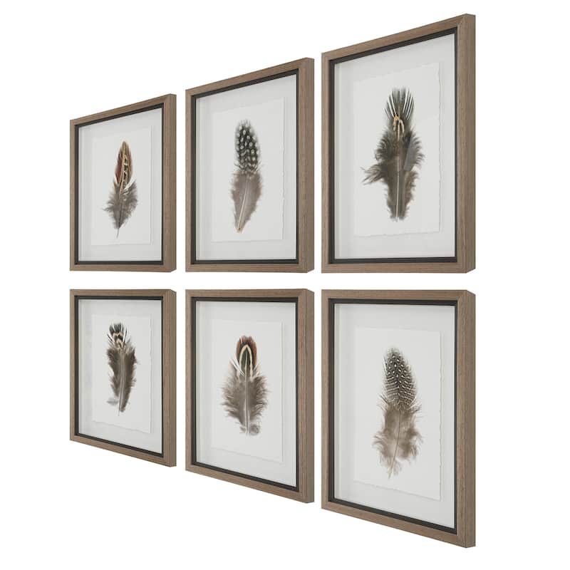 Uttermost Birds Of A Feather Framed Prints, S/6 - 15 W x 20 H x 1.75 D (inches)