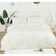 Option Ivory
