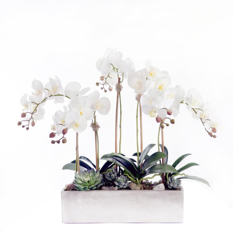 Modern Cream White Real Touch Silk Orchid Arrangement - 28"W x 17"D x 18.5"H