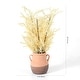preview thumbnail 4 of 2, SAFAVIEH Faux 20-inch Potted Wheat Plant - 12" W x 12" D x 20" H