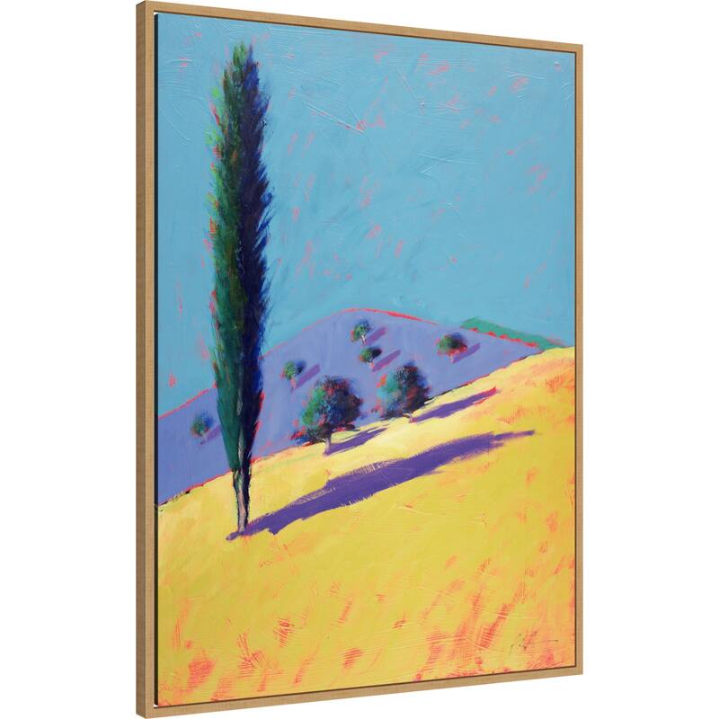 Golden Valley by Paul Powis Framed Canvas Wall Art Print
