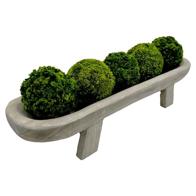 Set of Decorative Wood Bowl in Brown with Preserved Cockscomb Topiary Balls - SET9