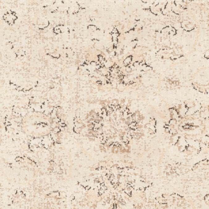 SAFAVIEH Helve Vintage Distressed Boho Oriental Area Rug