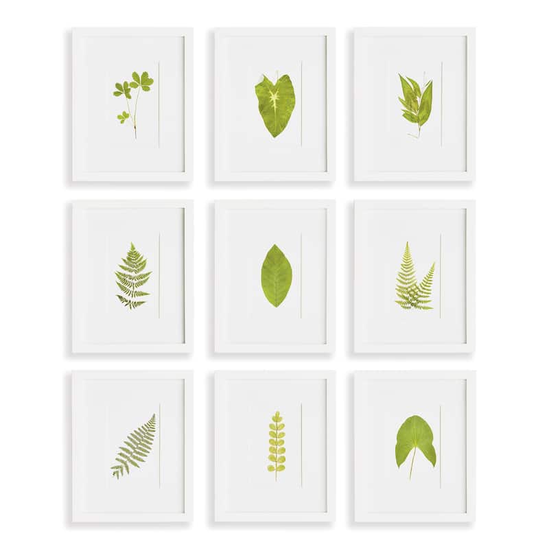 Green Leaf Petite Prints, Set Of 9