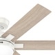 preview thumbnail 15 of 18, Hunter 52" Georgetown ENERGY STAR® Ceiling Fan w/ LED Light, Remote - Contemporary - Easy Install!
