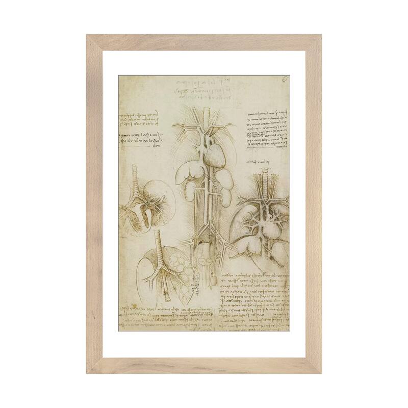 iCanvas "Drawing of the Heart and Lungs" by Leonardo da Vinci - Natural - 24x16x1