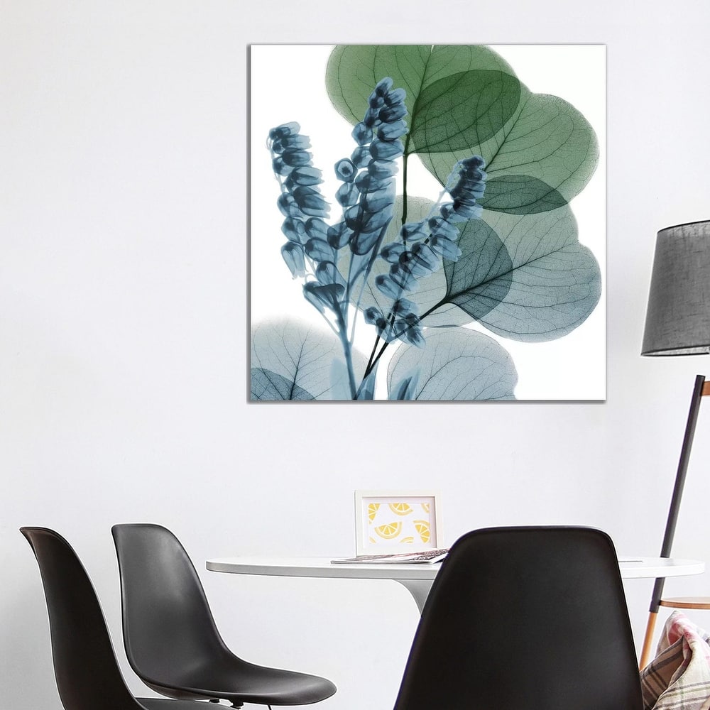 iCanvas "Lilly Of Eucalyptus I" by Albert Koetsier Canvas Print