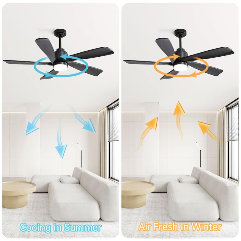 52 Inch Smart LED Ceiling Fan With 5 Solid Wood Blades and Remote Control