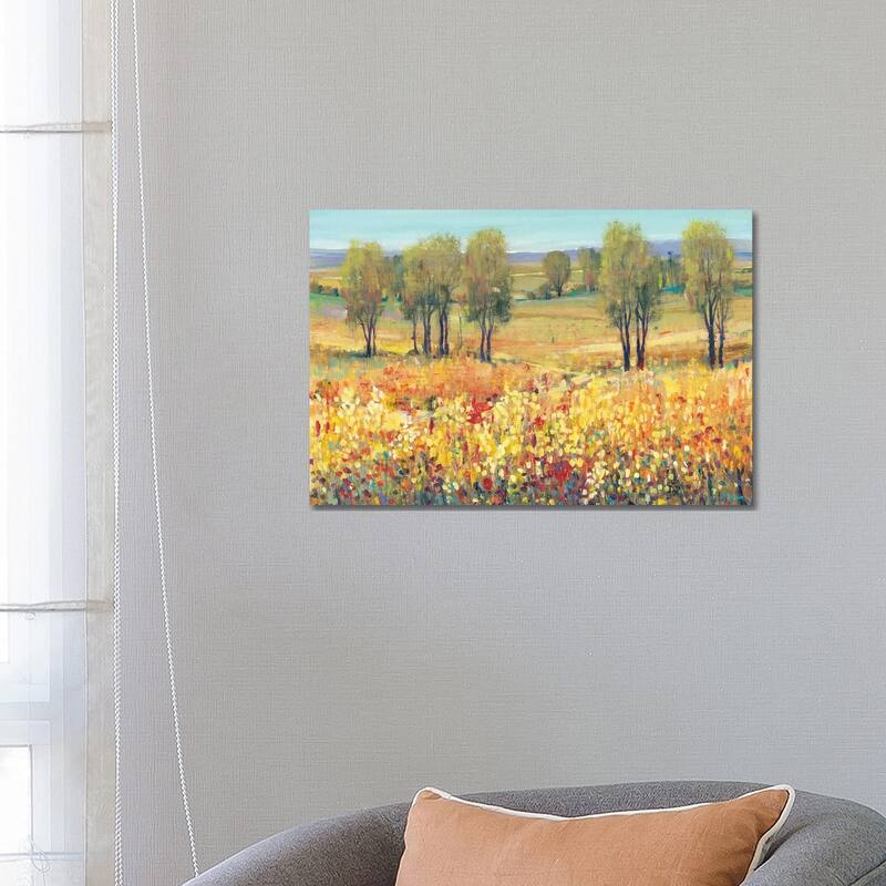 iCanvas "Golden Fields I" by Tim OToole Canvas Print - 18x26x1.5
