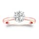 Option Rose