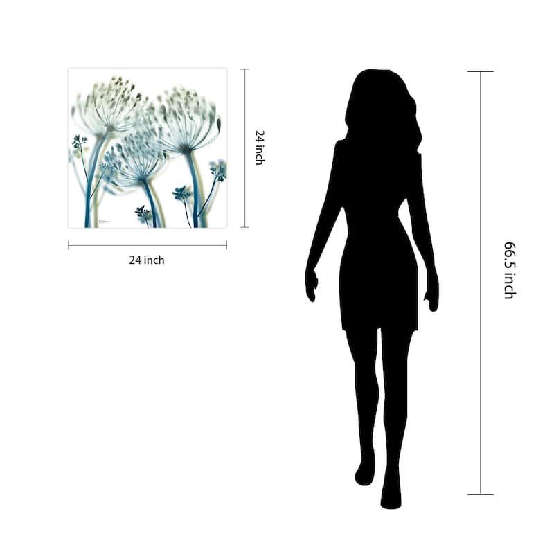 "Unfocused Beauty 2" Frameless Free Floating Tempered Glass Panel Graphic Wall Art