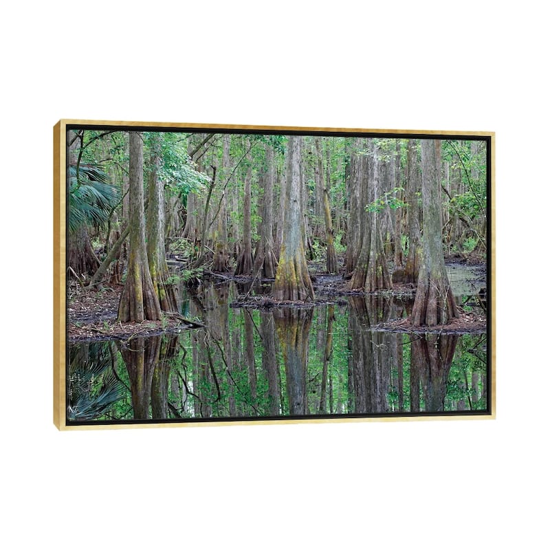 iCanvas "Bald Cypress Trees In Flooded Swamp, Highlands Hammock State Park, Florida" by Scott Leslie Framed Canvas Print - Gold - 18x26