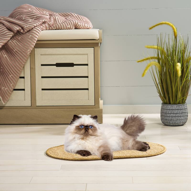 SAFAVIEH Home Sisal Small Boucle Weave Cat Scratch Mat - Light Brown - 12" W x 20" L
