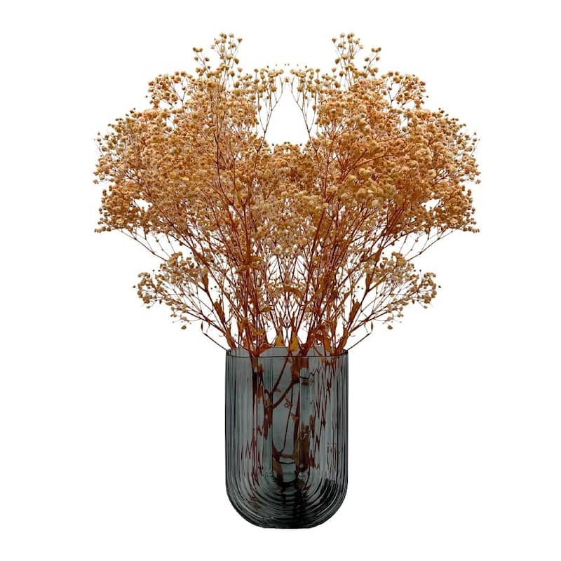 Bundle of 4 Preserved Gypsophila, Baby's Breath,24" long - 24 inch