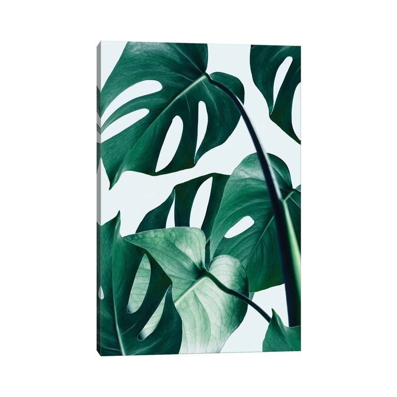 iCanvas "Monstera" by 83 Oranges Canvas Print