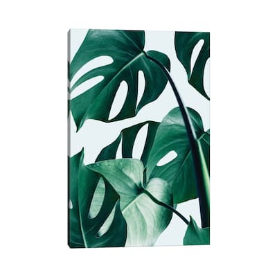 iCanvas "Monstera" by 83 Oranges Canvas Print