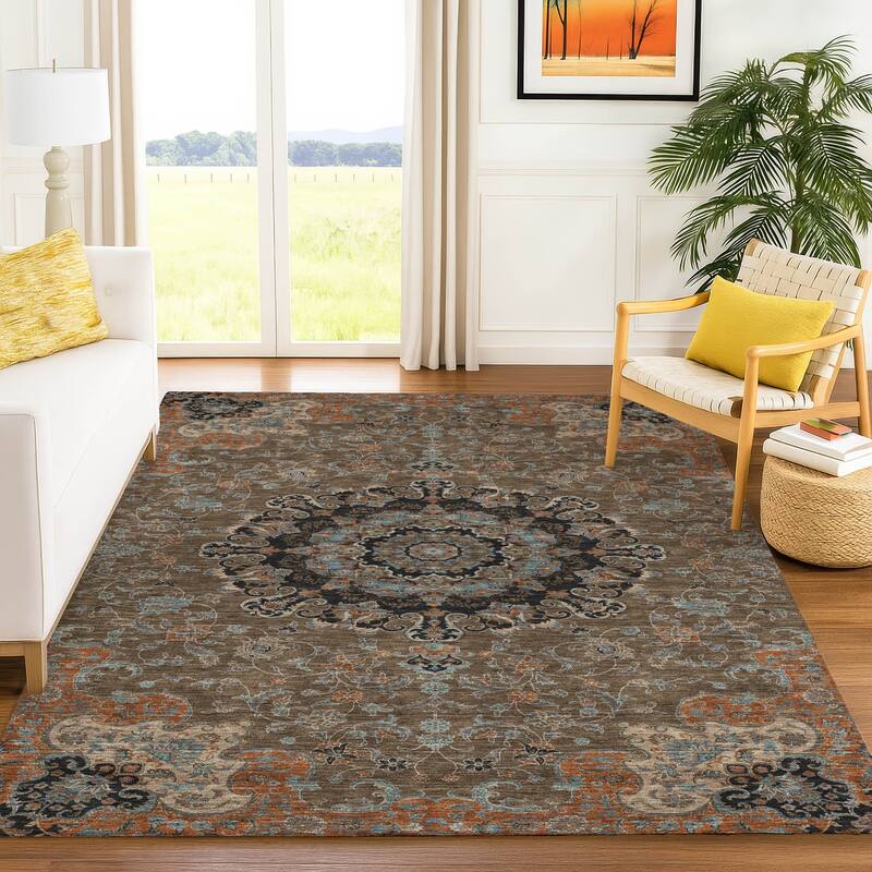 Machine Washable Indoor/ Outdoor Traditional Awaka Chantille Rug
