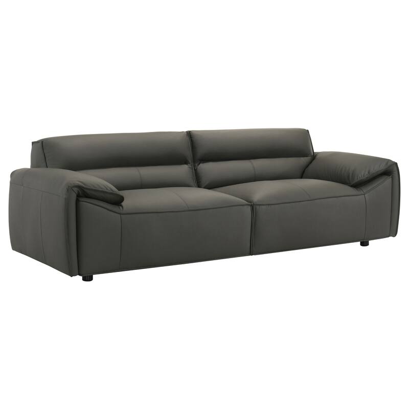 Buxton 2-piece Leather Upholstered Sofa Set
