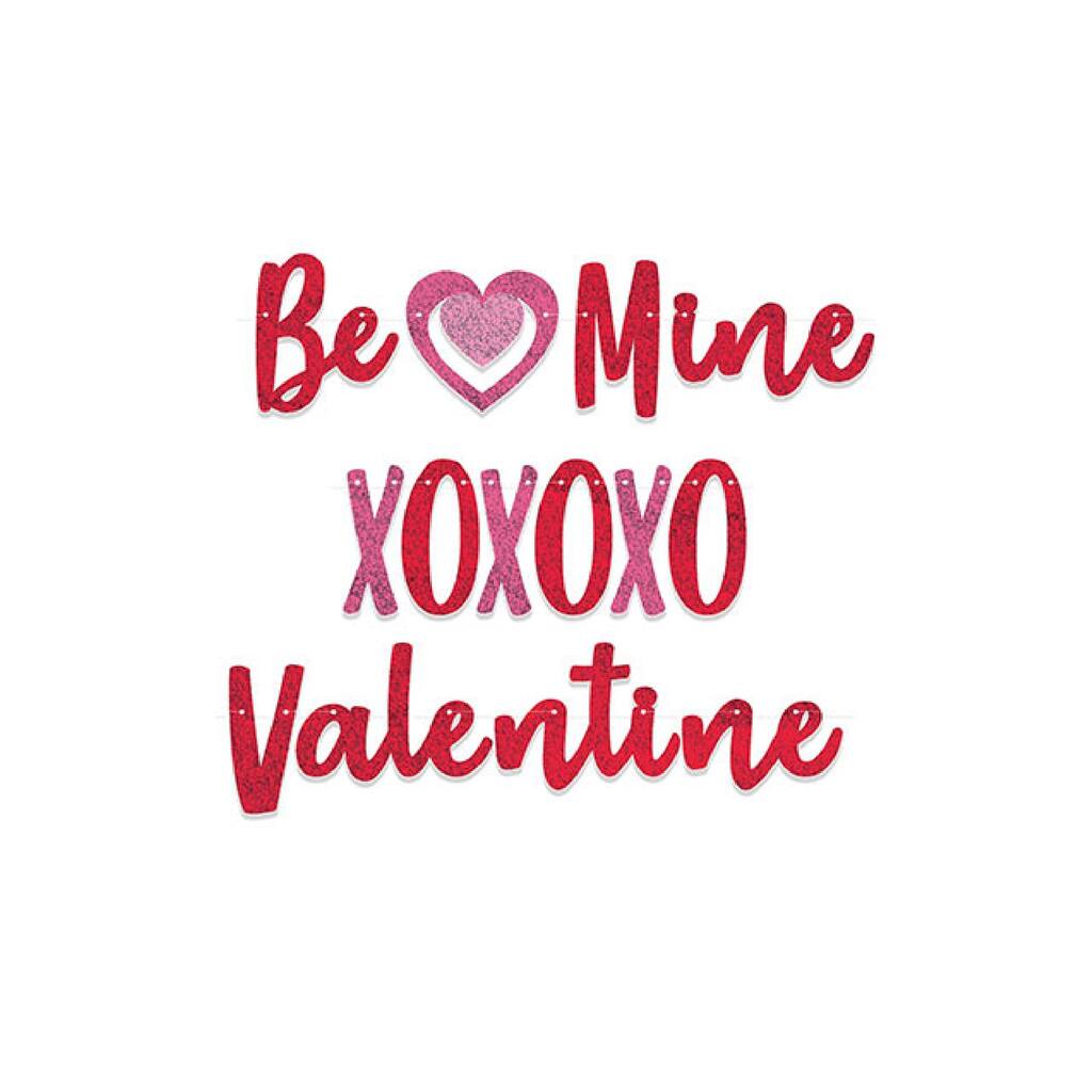 Set of 12 Red and Pink Valentine Streamer Banner 12"