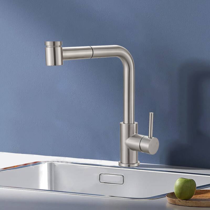 Topcraft Single Handle Pull-Out Stainless Steel Kitchen Faucet