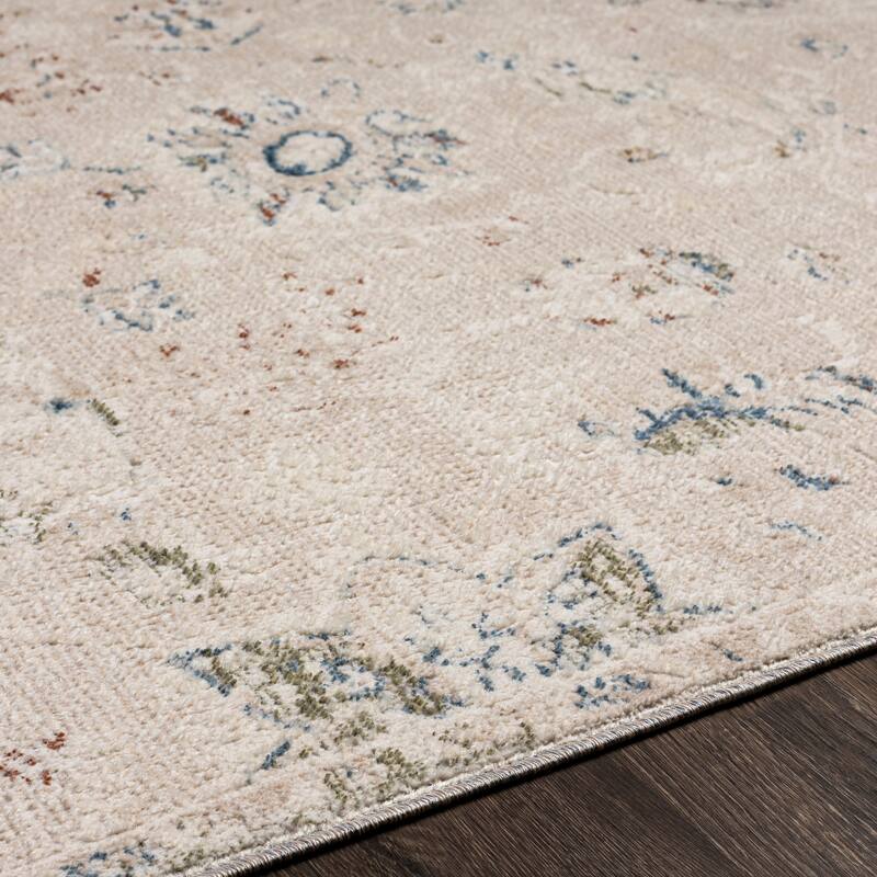 Livabliss Naveed Distressed Traditional Area Rug