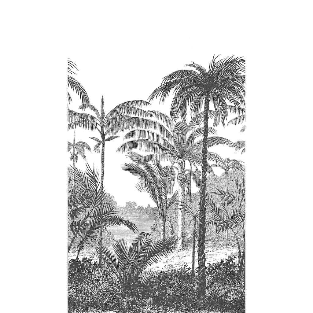 Galerie Wallcoverings Orom II Collection Black Palm Trees 62.5-inches wide x 9.18-feet high 3-panel Wall Mural