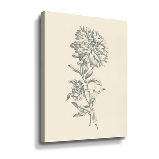 Eden Floral I Gallery Wrapped Canvas - Bed Bath & Beyond - 33945829