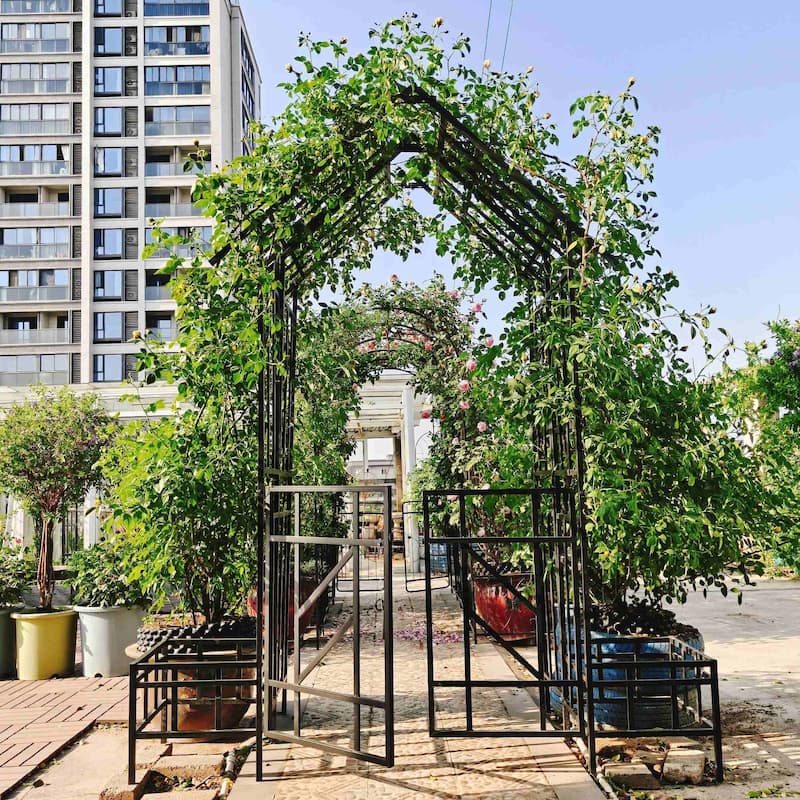 Adjustable Metal Arch Trellis for Climbing Garden Plants - Black - 80.71''Wx97.24''Hx16.93''D