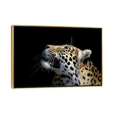 iCanvas "African Leopard" by Adrian Vieriu Framed