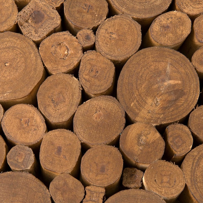 Reclaimed Solid Teak Wood Branch Bundle Table by East at Main